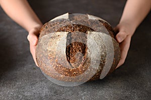 Loaf of freshly baked bread with hemp flour in hands.