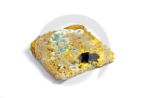 Loaf of mouldy bread