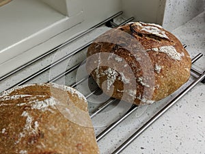 Loaf of round, crispy, freshly baked homemade bread