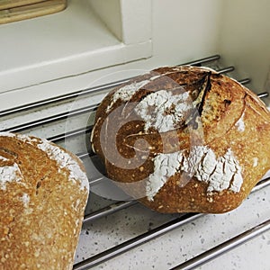 Loaf of round, crispy, freshly baked homemade bread