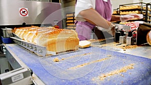 Loafs of bread in a bakery on an automated conveyor belt