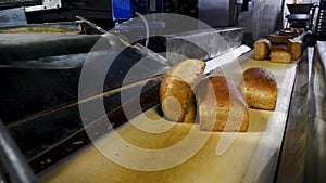 Loafs of bread in a bakery on an automated conveyor belt