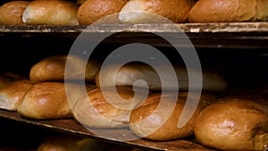 Loafs of bread in a bakery on an automated conveyor belt