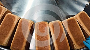 Loafs of bread in a bakery on an automated conveyor belt