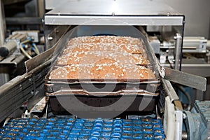 Loafs of bread in the factory