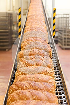 Loafs of bread in the factory