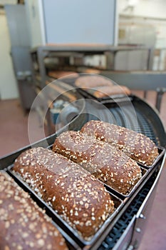 Loafs of bread in the factory