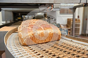 Loafs of bread in the factory