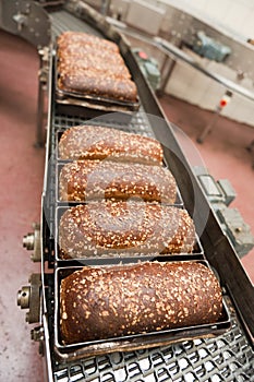 Loafs of bread in the factory photo
