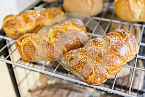 Loafs of sweet Easter breads with leaven