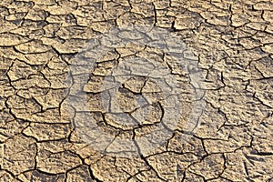 Loam in a saline basin photo