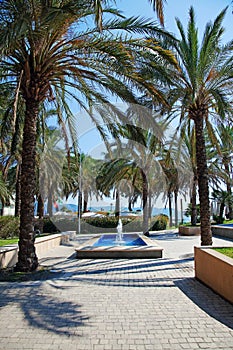 Loano, Riviera delle Palme, Savona photo