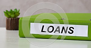 LOANS word on green folder on a light background with cactus