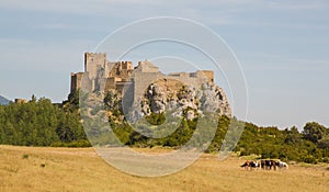 Loarre castle in Loarre, Spain with grazing horses photo