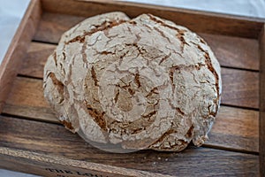 Loave of home made rye bread