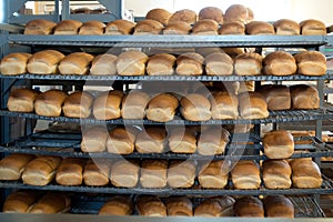 Loaves of Bread in a Bakery