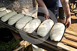 Loaves of bread