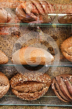 Loaves of bread in a showcase