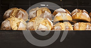 Loaves displayed on bakery shop