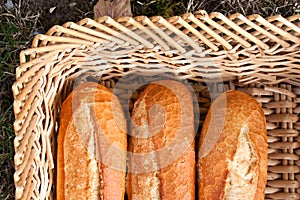 Loaves of French bread