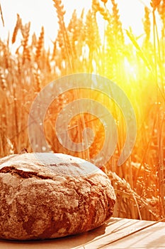 Loaves of fresh baked against wheat field in sunlight. Industrie and agriculture concept