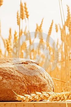 Loaves of fresh baked against wheat field in sunlight. Industrie, food, agriculture concept. Selective focus on bread. Vertical