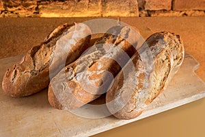 Loaves of freshly baked sourdough bread