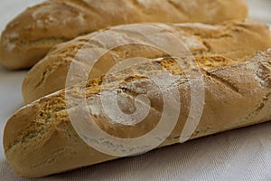 Loaves of Homemade bread