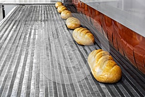 loaves of white loaf were baked on the conveyor
