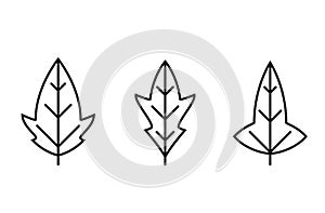 Lobed leaf line icon set. botanical and nature symbol. three leaves vector images