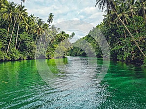 Loboc River, Bohol Island, Philippines. photo