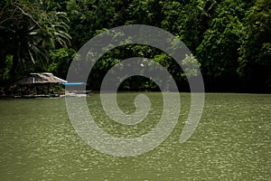 Loboc River with a visible hut and a boat photo