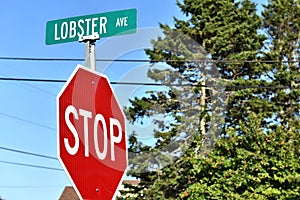 Lobster avenue sign in johnstown state maine usa