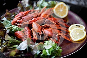 A lobster on a big Golden platter. Scatter the lemon and the Bay leaf. Restaurant food.A lobster on a silver metal plate