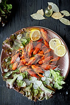 A lobster on a big Golden platter. Scatter the lemon and the Bay leaf. Restaurant food.A lobster on a silver metal plate