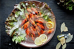 A lobster on a big Golden platter. Scatter the lemon and the Bay leaf. Restaurant food.A lobster on a silver metal plate