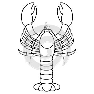 Lobster, black outline line vector illustration on white background