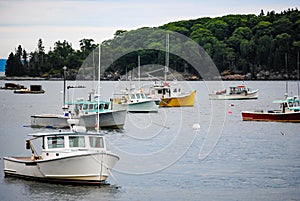 Lobster Boat Harbor