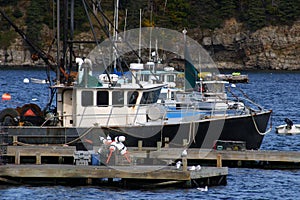 Lobster Boats