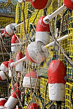 Lobster Buoys