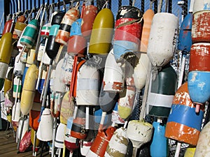 Lobster Buoys Hanging in Harbor