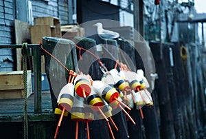 Lobster Buoys on Wharf in Portland, Maine photo