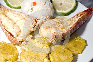 Lobster central american style with tostones rice photo
