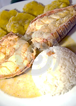 Lobster central american style with tostones rice photo