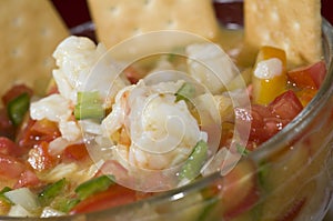 Lobster ceviche nicaragua photo