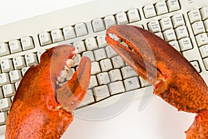 Lobster Claw and Computer Keyboard