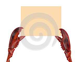 Lobster claws holding a panel.