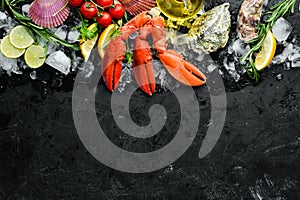 Lobster claws. Seafood on a black background.