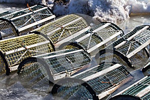 Lobster/Crab Traps in Ice