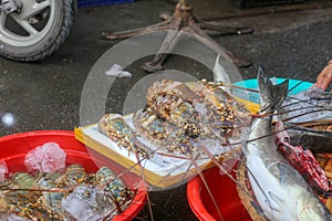Lobster, crayfish, sea fish sold at Dam market, Nha Trang City
